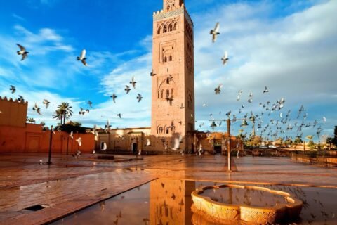 Group Tour To Morocco For 13 Nights