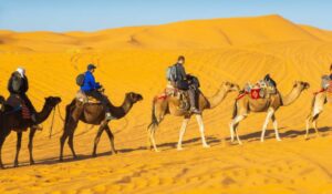 Group Tour to Morocco for 14 Nights
