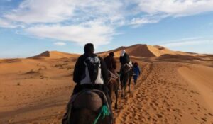 Group Tour to Morocco for 15 Nights