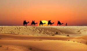 Group Tour to Morocco from USA