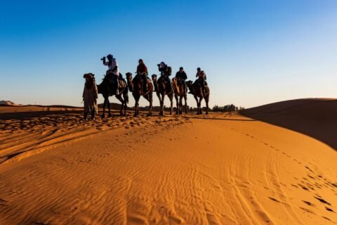 Group Tour 2025,Guided Tours to Morocco,Marrakech, Guided Tours to Morocco From Uk 2025,Guided Tours to Morocco.