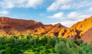 Morocco Group Tours 2025