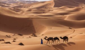 Solo Traveler to Morocco