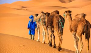 Solo Traveller Morocco