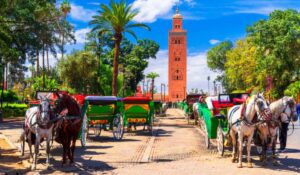 Best Morocco Tours From Marrakech