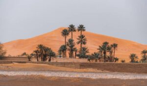 Morocco Tours For Solo Travellers