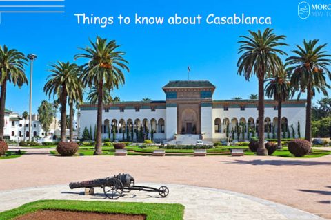 things to know about Casablanca