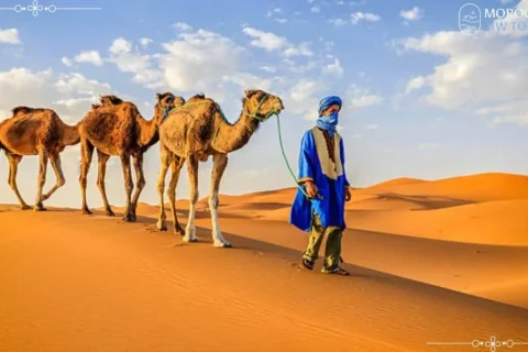 Best Morocco tours for solo travelers