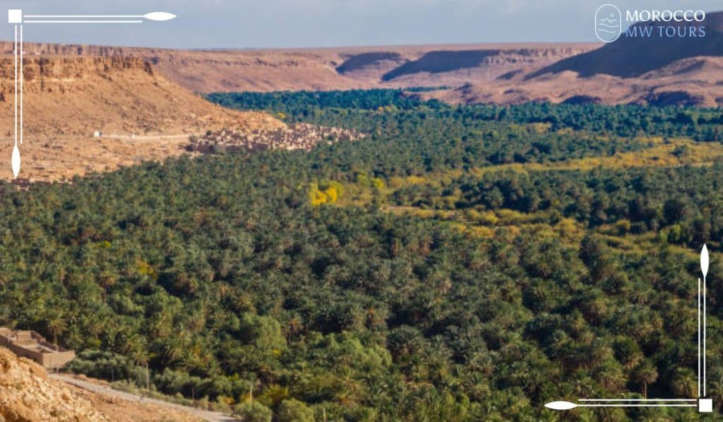Tafilalet Oasis In Morocco Hidden Desert Gem tafilalet-oasis-in-morocco-hidden-desert-gem