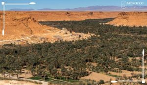 Tafilalet Oasis in Morocco