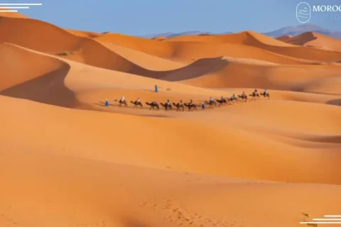 private guided luxury tours Morocco