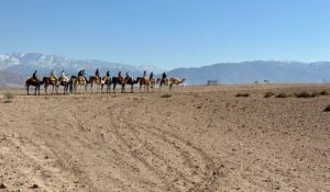 Luxury Camps in Agafay Desert