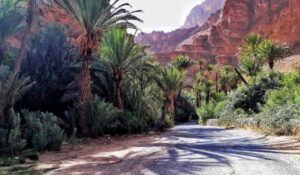 Ait Mansour oasis in Morocco