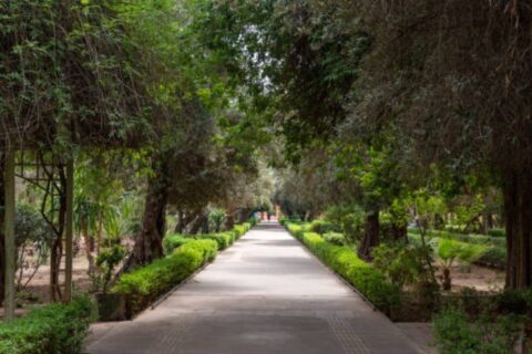 Anima Garden in Marrakech