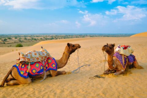 Camel Riding and Quad Biking Marrakech