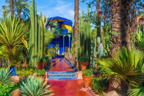 Marrakech Gardens Majorelle