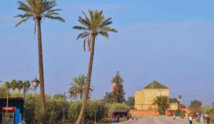 Marrakesh, Morocco Palm trees and extensive walks in the gardens of La Menara