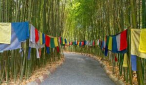 Marrakesh, Morocco-view of artwork in the scenic Anima Gardens in Marrakesh