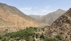 Mountain valley of Ourika near Marrakech