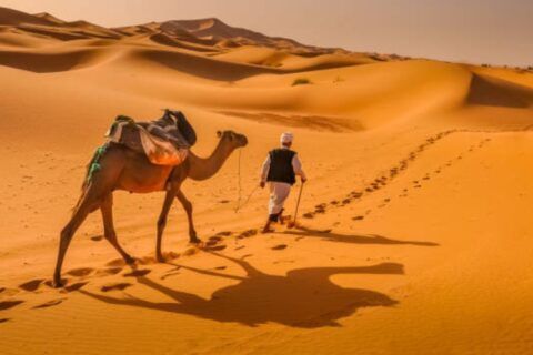 Sahara Desert Excursion from Marrakech