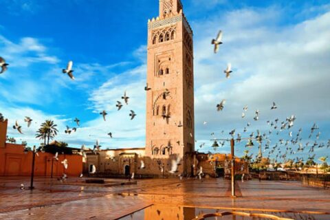 Things to Do With Family in Marrakech