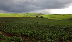 Morocco Wildlife Safari 