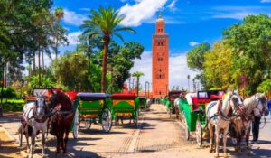 Beautiful view of the horse carriage in front of the Koutoubia Mosque minaret at Medina quarter from Jemaa el-Fnaa