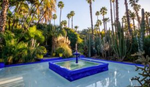  Botanical garden Majorelle in Marrakech