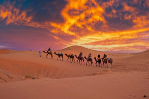 Cost of Trip to Morocco