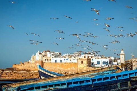 Essaouira Tour from Marrakech