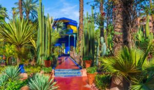 Marrakech, Morocco Le Jardin Majorelle, amazing tropical garden in Marrakech, Morocco.