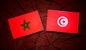 Moroccan flag with Tunisian flag on a tree stump isolated