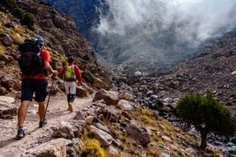 Morocco Wildlife Safari