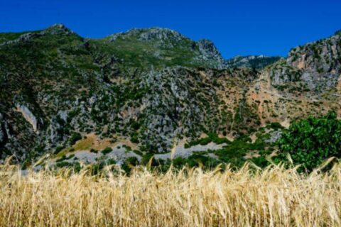 Rif Mountains Hiking
