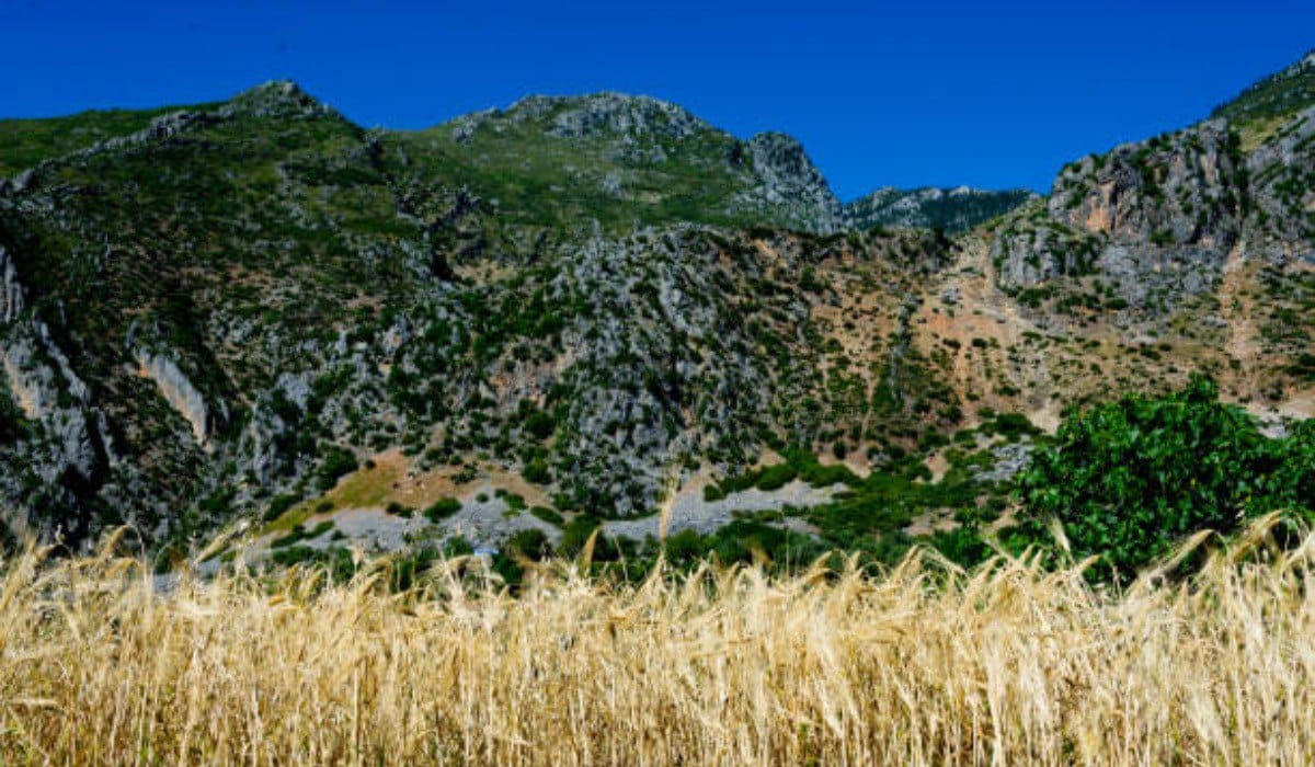 Rif Mountains Hiking
