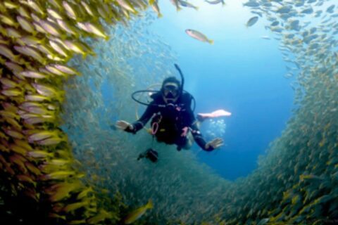 Scuba Diving Morocco