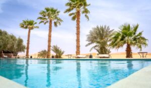 Serene Poolside Retreat with Palm Trees in Merzouga Desert