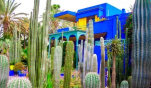 Tourists were visiting the Majorelle Garden in Marrakech