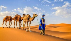 Morocco Wildlife Safari 