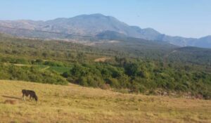 A natural view of the Moroccan city of Tetouan landscape, with the Rif Mountains in the background