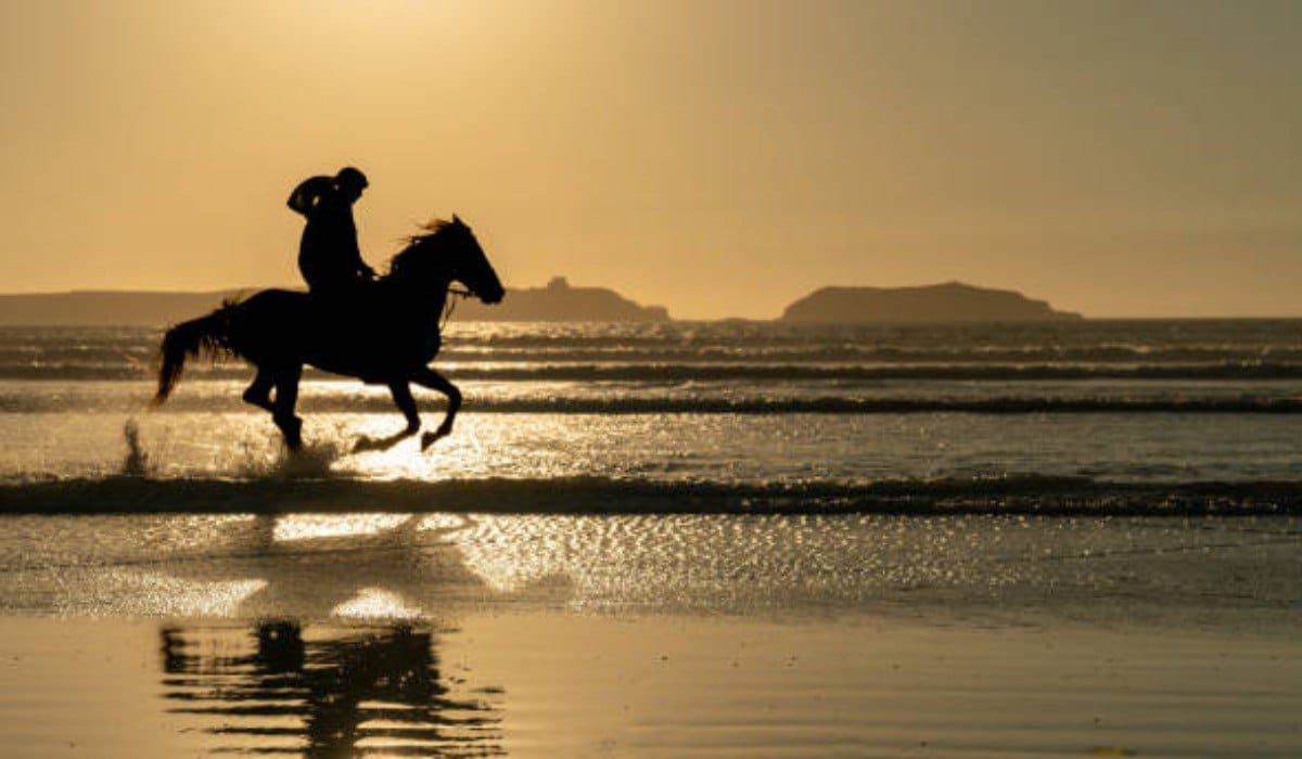 Essaouira Horse Ride